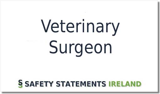 Veterinary Surgeon Safety Statement
